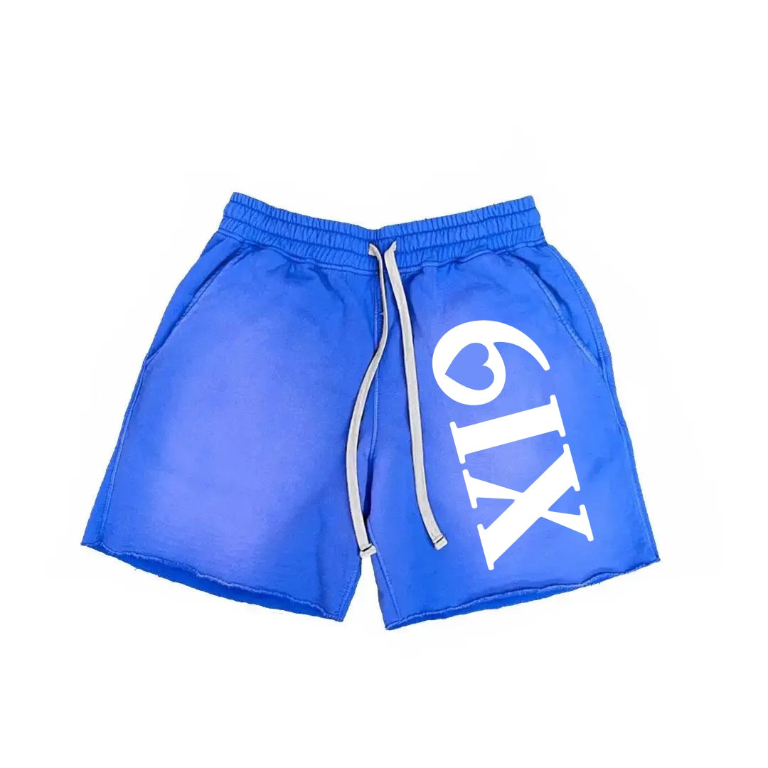 Big 6IX Shorts