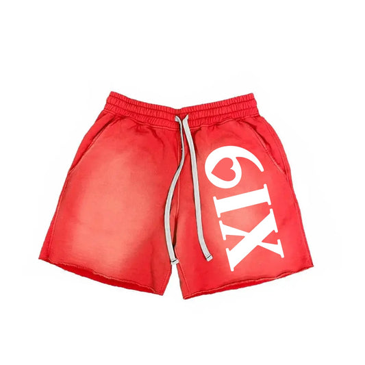 Big 6IX Shorts