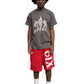Big 6IX Shorts